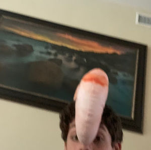 Meet your Posher, Sam